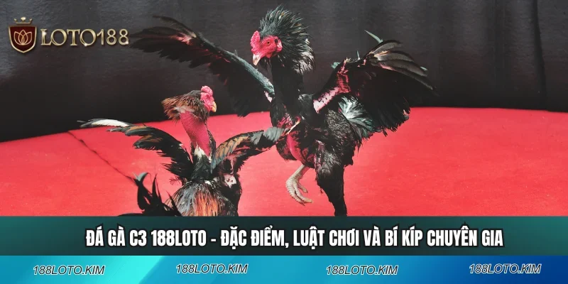 Đá Gà C3 188LOTO - Đặc Điểm, Luật Chơi Và Bí Kíp Chuyên Gia